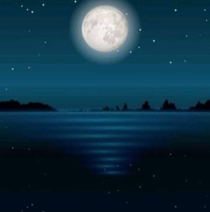 Meet your Posher, Obed